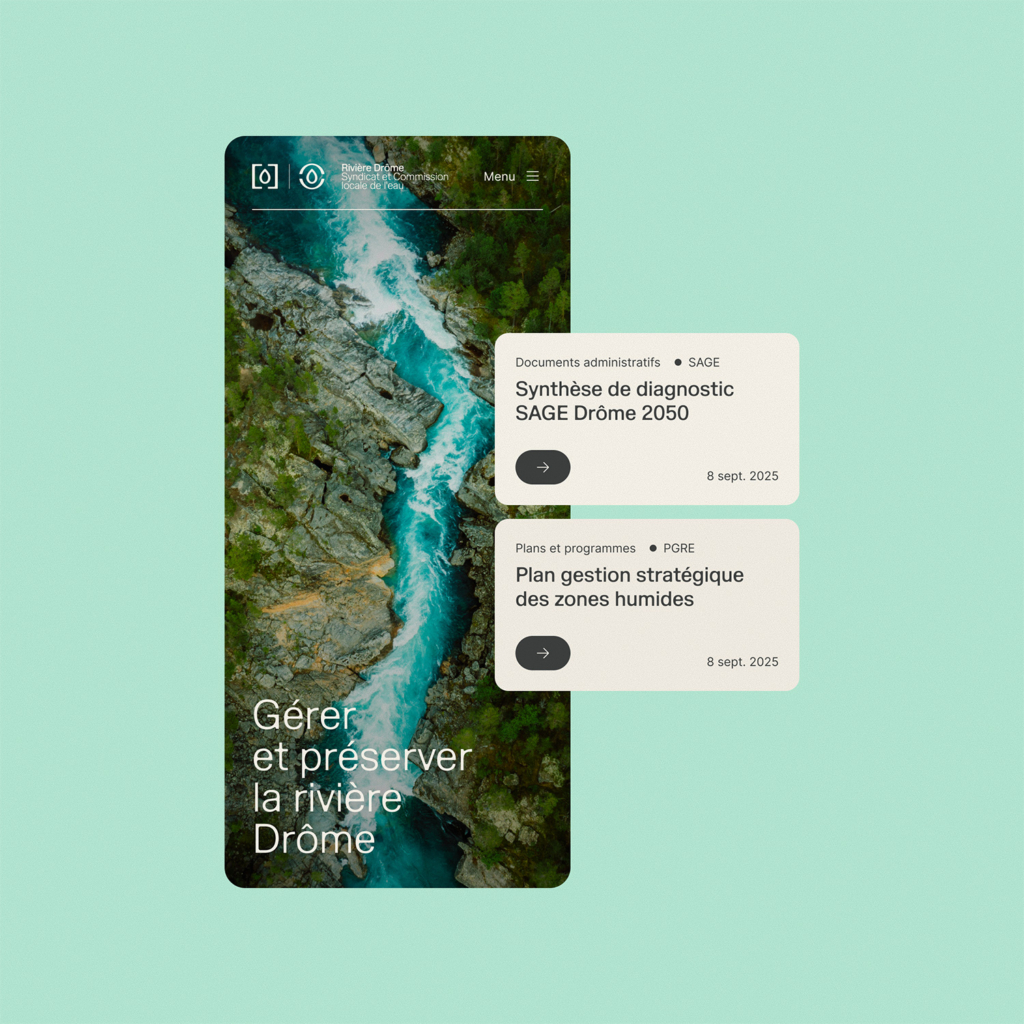 expertise-strategie-numerique